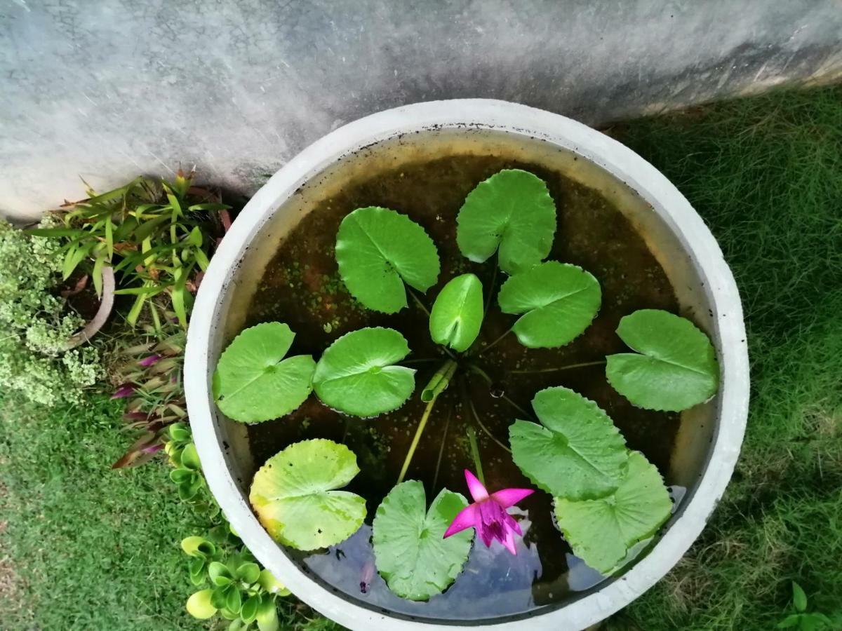 Orchid Villa #10 Hikkaduwa Luaran gambar