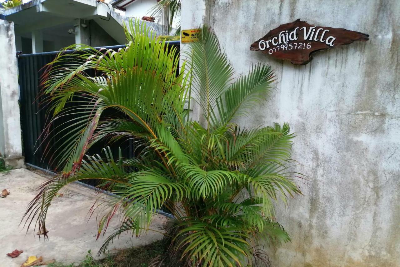 Orchid Villa #10 Hikkaduwa Luaran gambar
