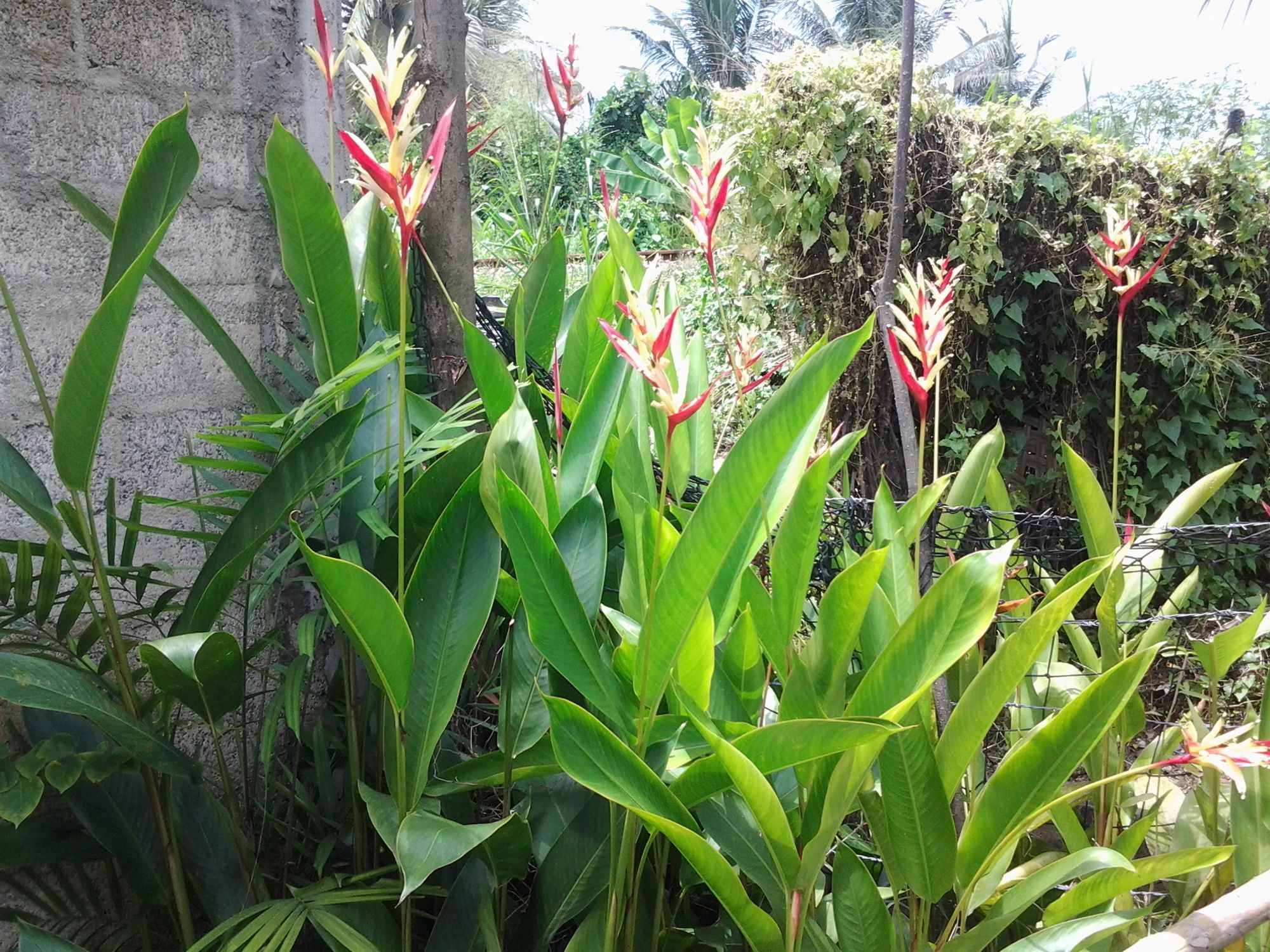 Orchid Villa #10 Hikkaduwa Luaran gambar